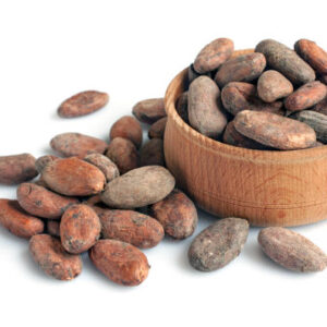 Cacao beans isolated on a white background